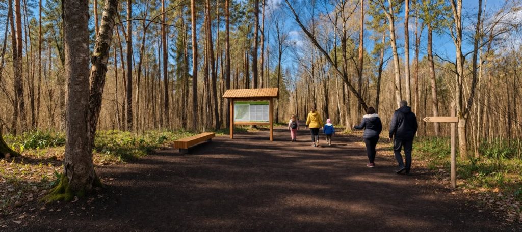 Balso par Viskaļu meža taku – kopīgi radīsim vietu miera un dabas baudīšanai Jelgavā!